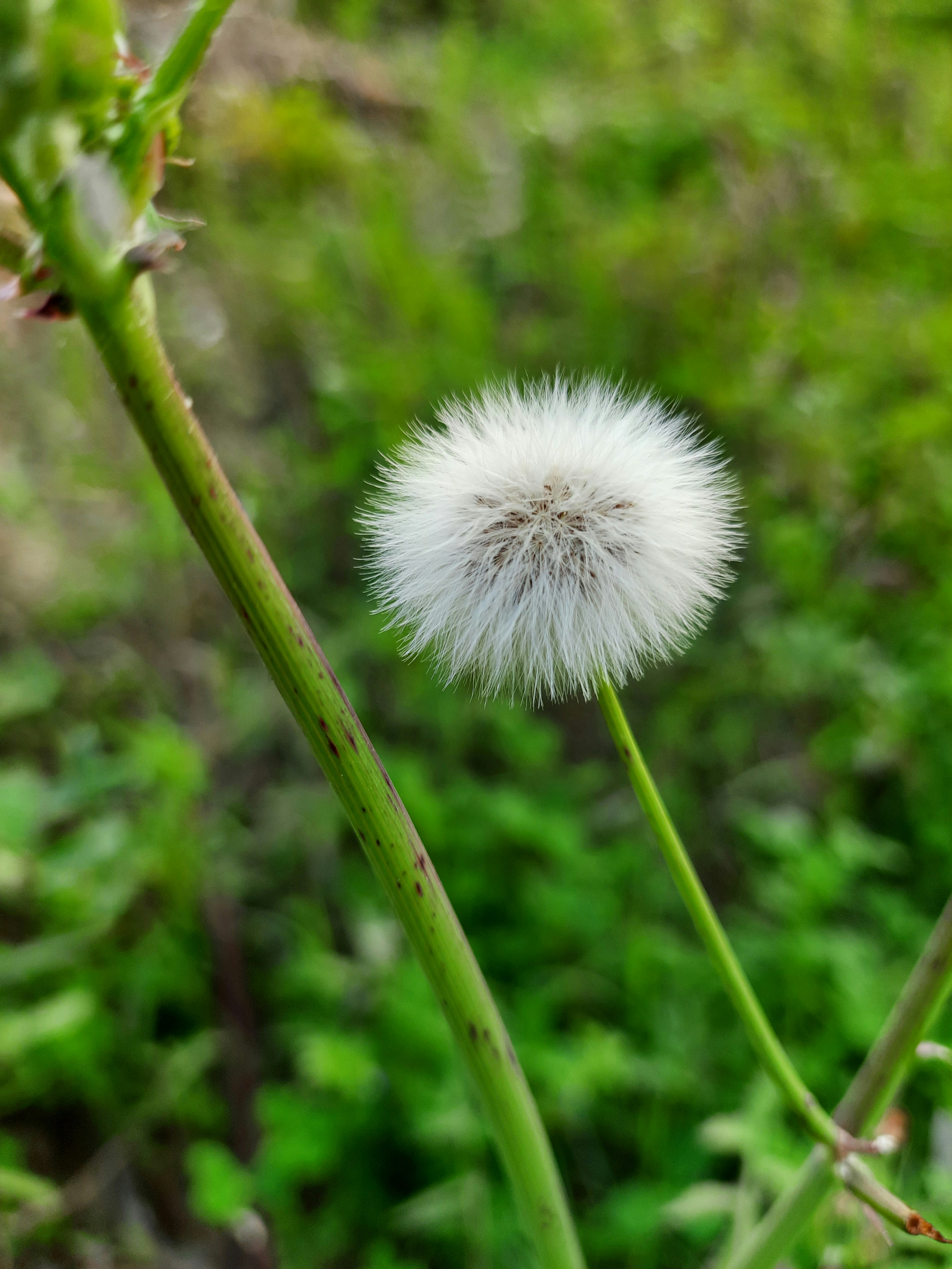 Photo by punit_gupta