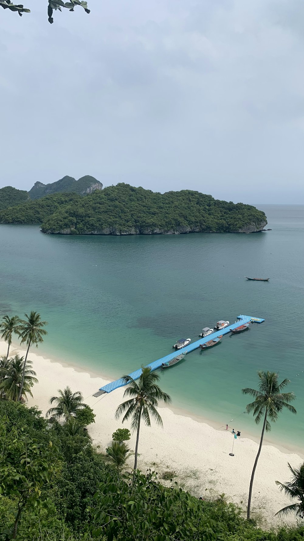 a boat is docked on the shore of a tropical beach