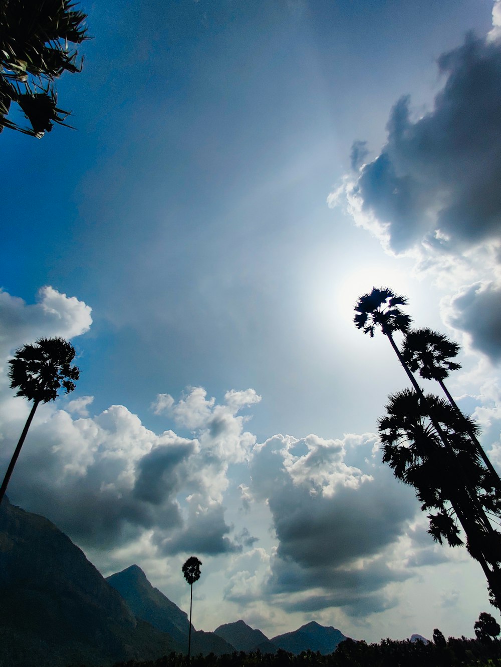 the sun shines through the clouds above palm trees