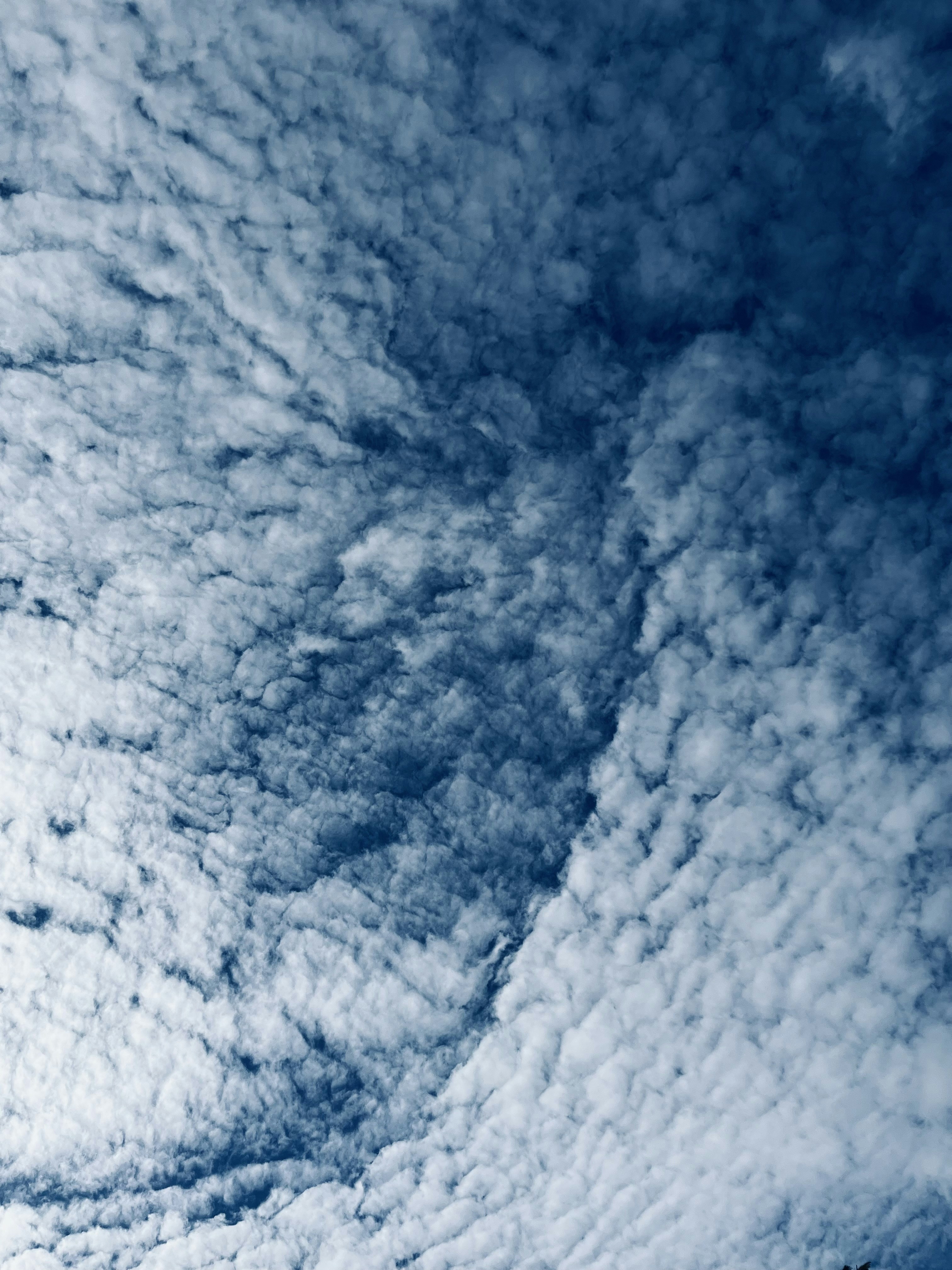 Photo by koshygeorge