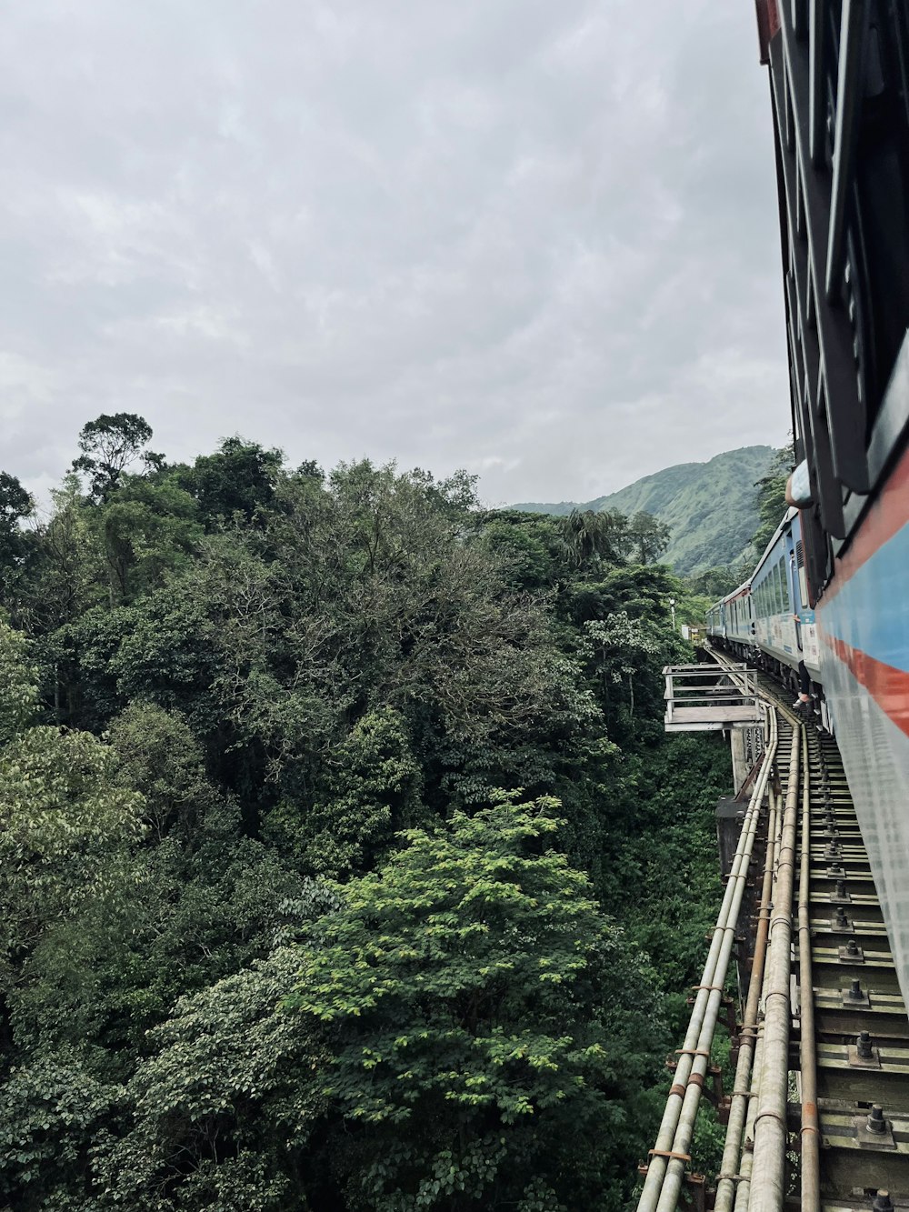 a train traveling through a lush green forest