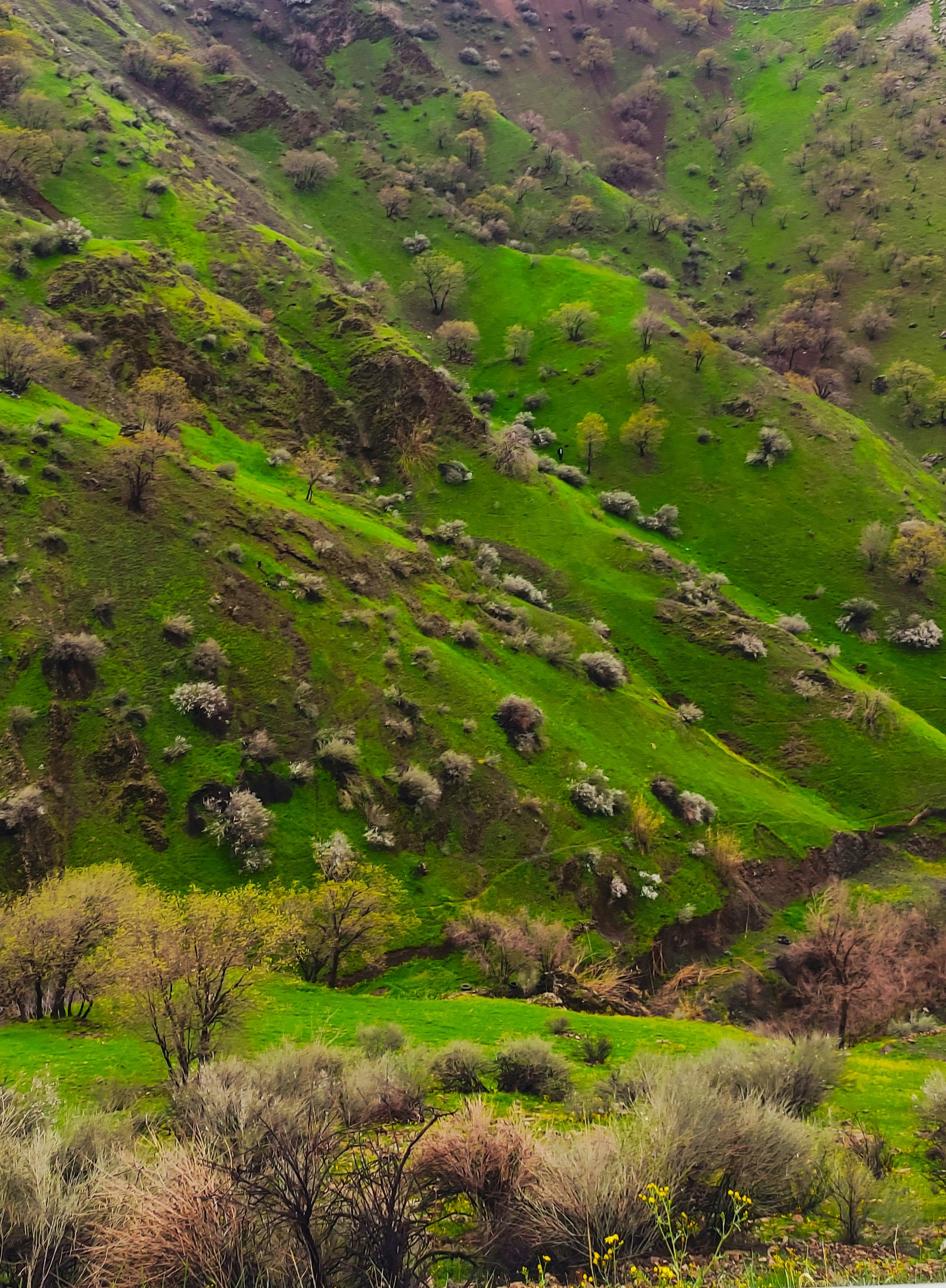 Photo by rashedpaykary