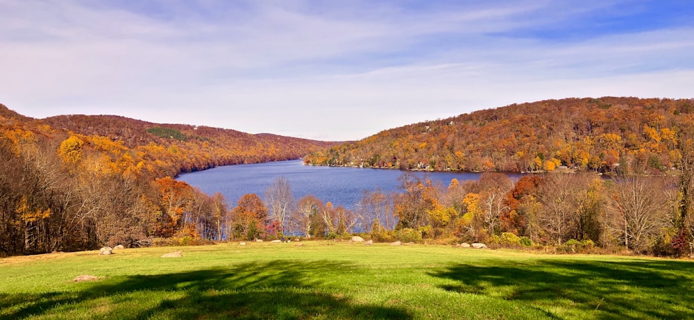 a scenic view of a lake surrounded by trees