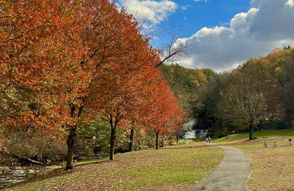 a path in the middle of a park with a waterfall in the background