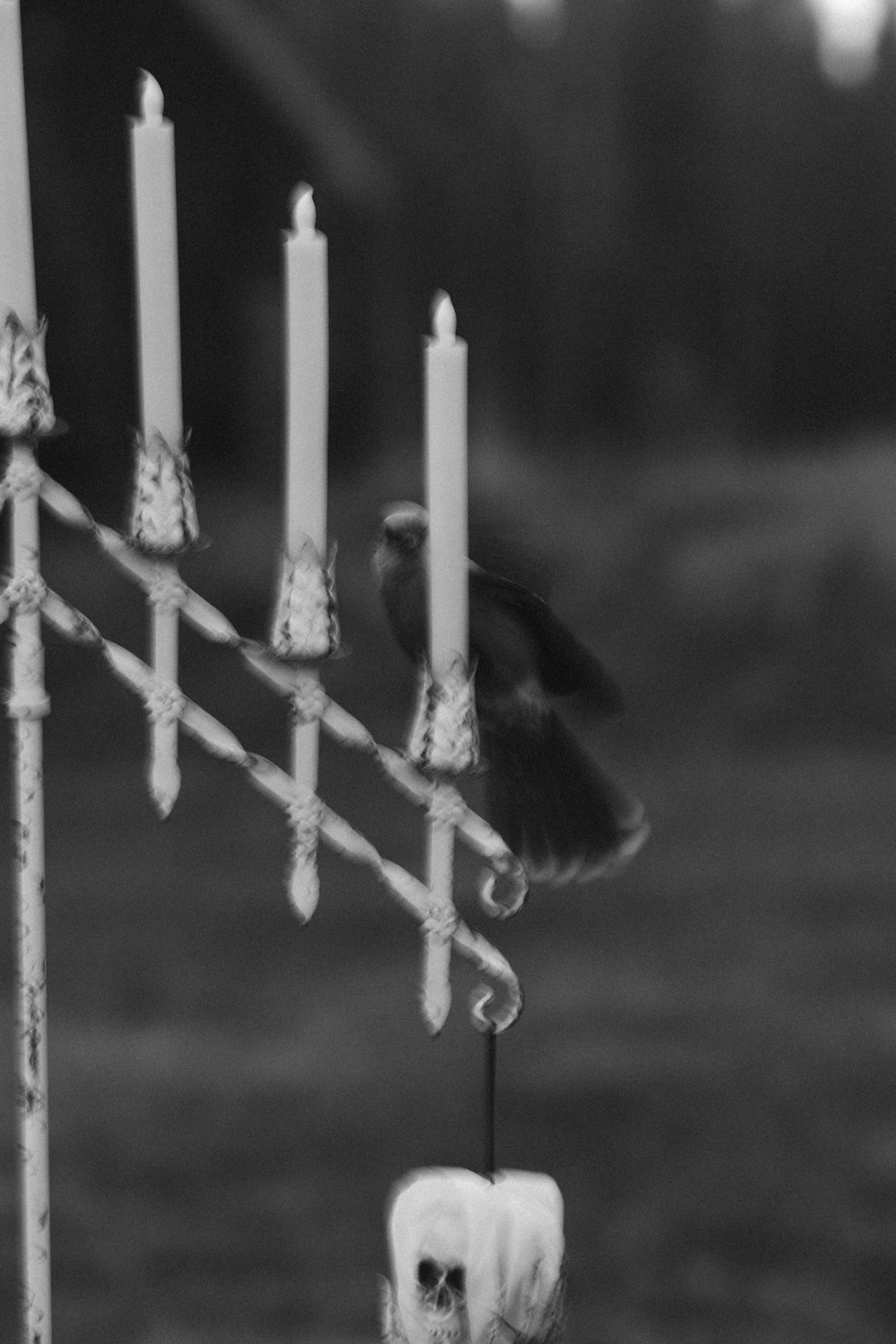 Una foto en blanco y negro de una menorá con velas