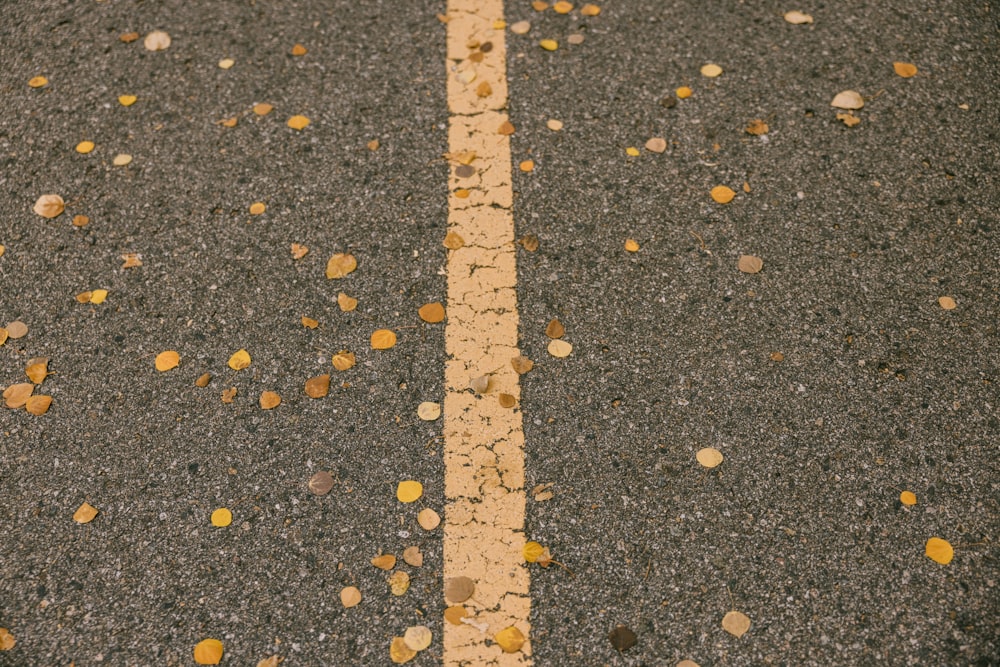 a stop sign sitting on the side of a road