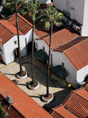 An aerial view of a courtyard with several tall palm trees growing in circular planters. The courtyard is surrounded by buildings with pitched roofs covered in red tiles. The architecture features white walls, a tiled pathway, and traditional design elements. Some small objects are placed around the courtyard, possibly outdoor furniture or decorations.