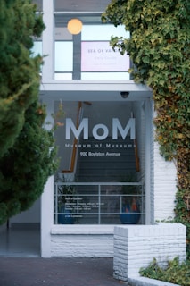 Entrance to a building labeled as the Museum of Museums with foliage trimming the doorway. A sign in the window displays an exhibition named 'Sea of Vapors' by Emily Counts. The window also shows the museum's address and hours of operation.