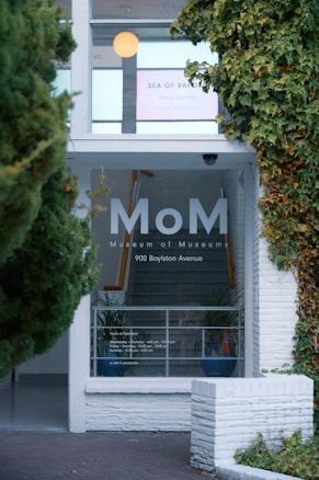 Entrance to a building labeled as the Museum of Museums with foliage trimming the doorway. A sign in the window displays an exhibition named 'Sea of Vapors' by Emily Counts. The window also shows the museum's address and hours of operation.
