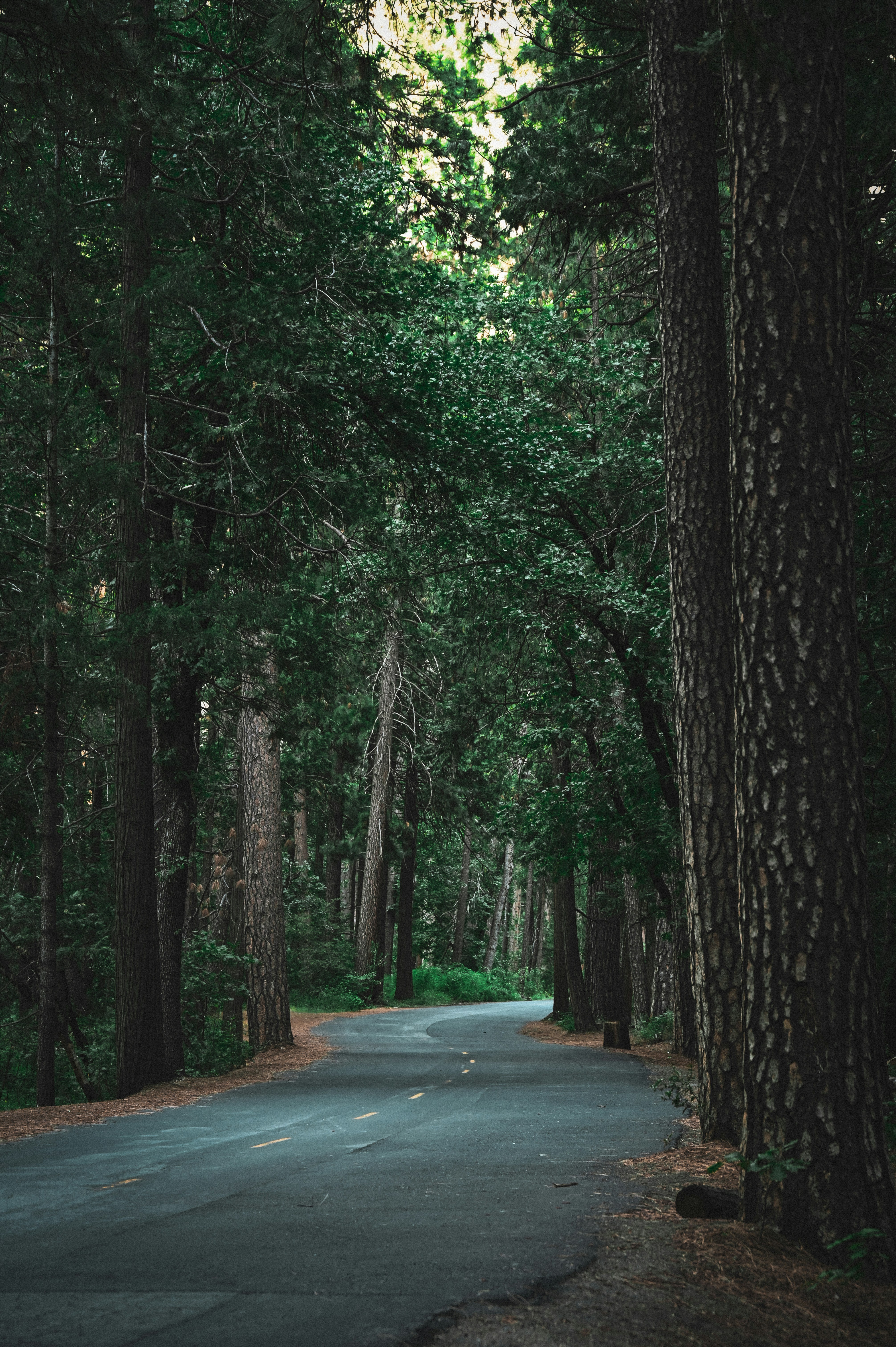 Photo by alice7u7u7u7u