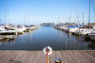 a bunch of boats that are in the water