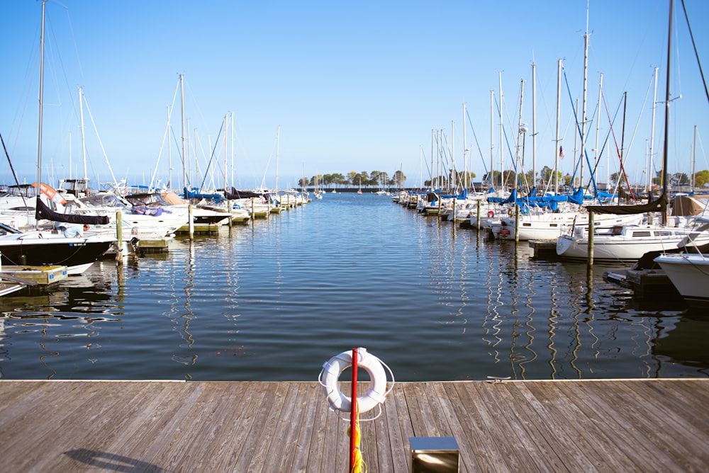 a bunch of boats that are in the water