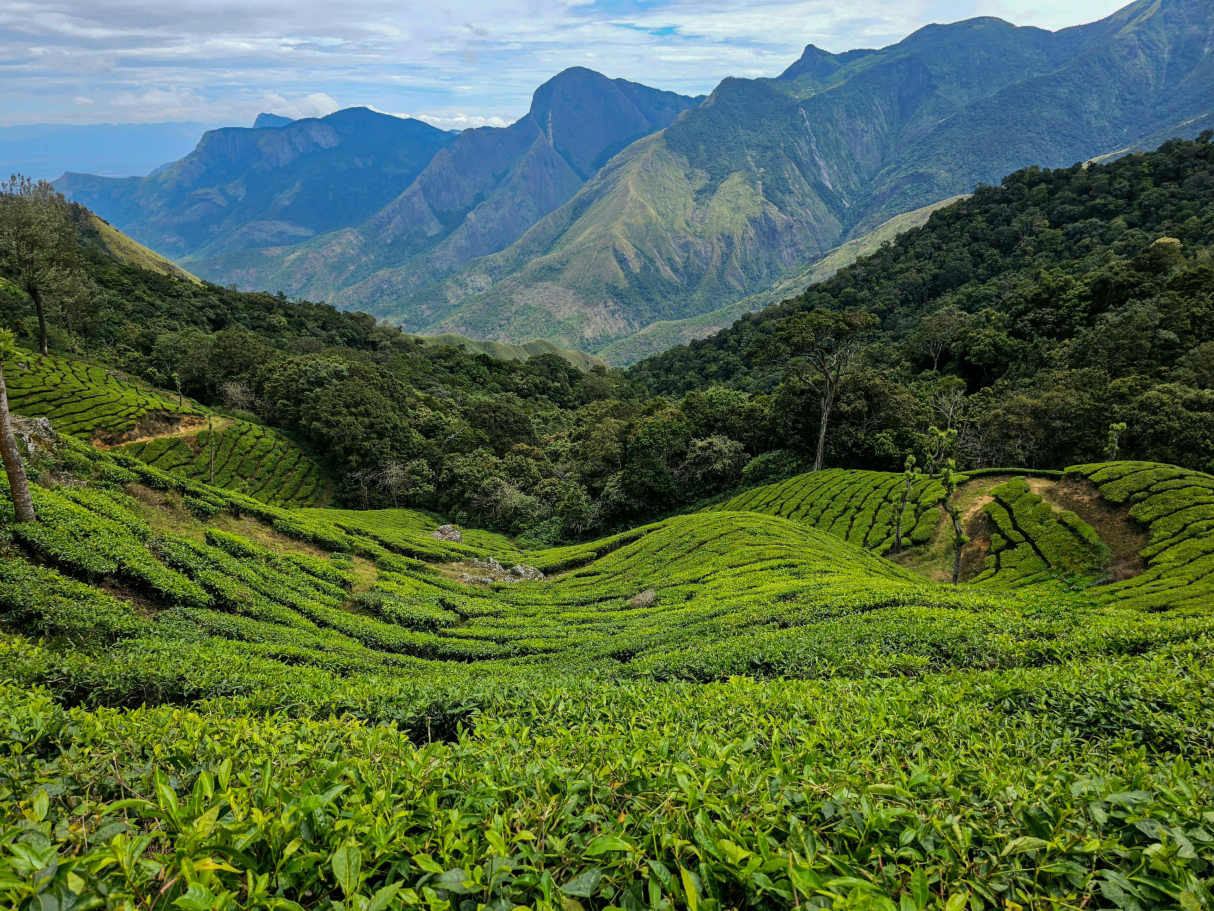 Photo by antony_palathinkal