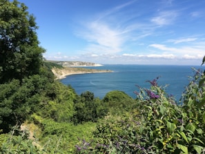 Lush greenery surrounding the bungalow with the sea and hills in the background.