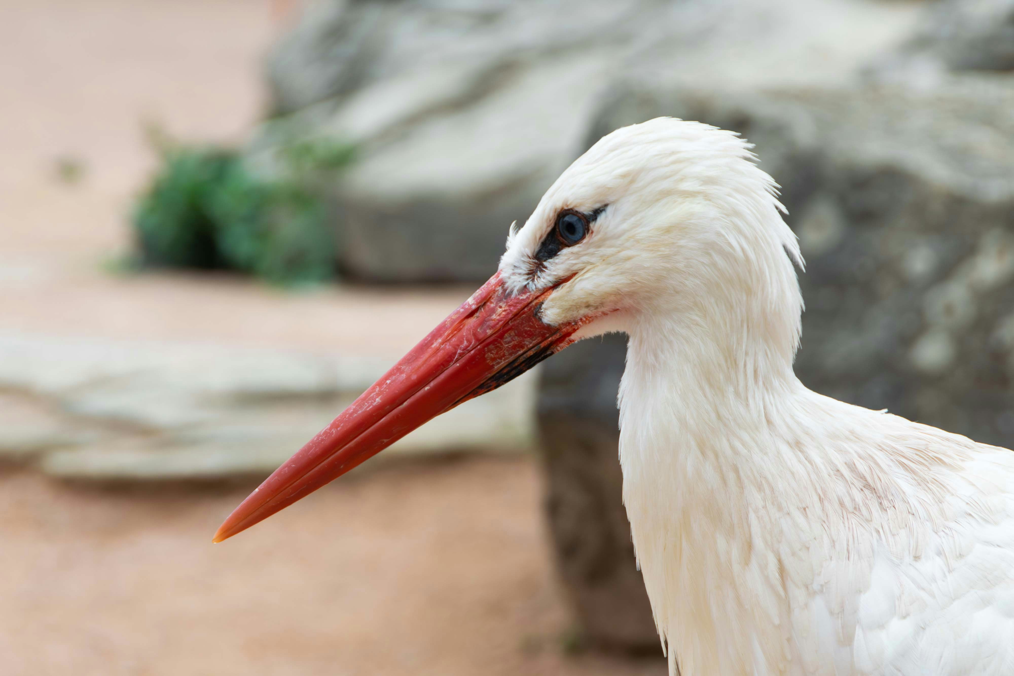 Photo by tobyjay2010