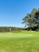 A lush golf course under a clear blue sky, with well-maintained grass and a solitary flag marking a hole. To the side, there are tall, dense trees forming a green boundary.