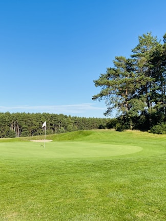 A lush golf course under a clear blue sky, with well-maintained grass and a solitary flag marking a hole. To the side, there are tall, dense trees forming a green boundary.