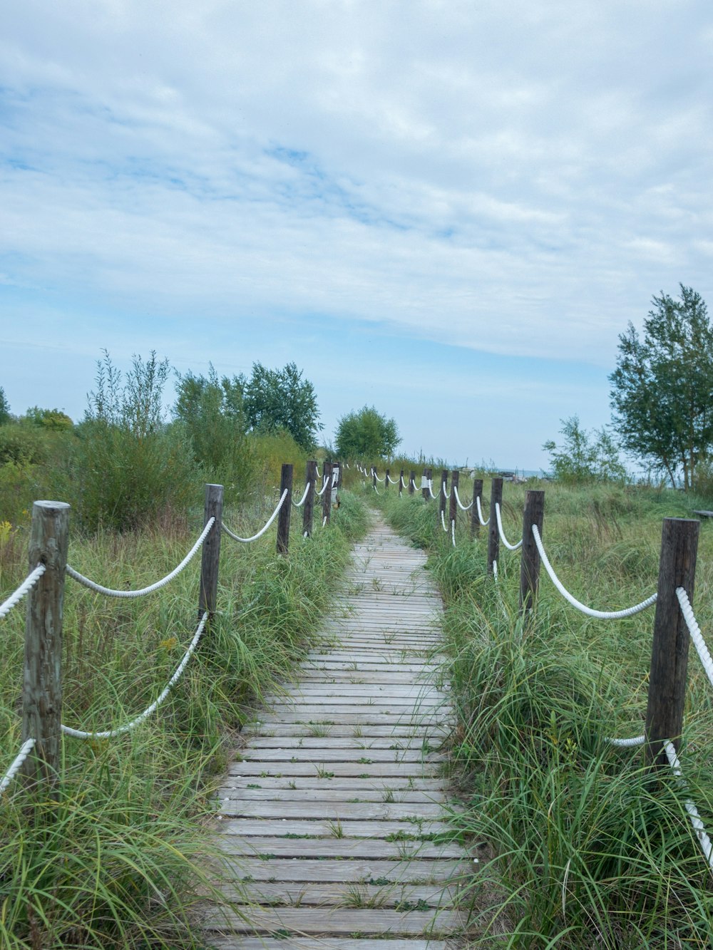 a wooden path leading to a grassy field