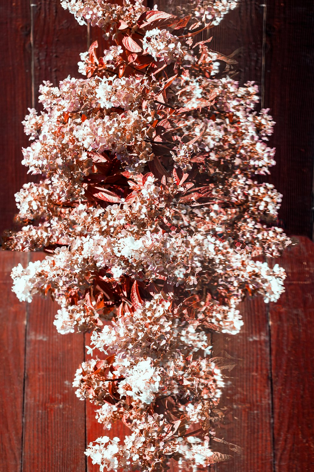 a vase filled with lots of flowers on top of a wooden table