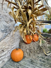 The image displays pumpkins arranged on a bale of hay, accompanied by dried corn stalks leaning against a rustic stone wall. The scene suggests an autumn theme and is set on a wooden surface.