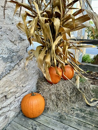 The image displays pumpkins arranged on a bale of hay, accompanied by dried corn stalks leaning against a rustic stone wall. The scene suggests an autumn theme and is set on a wooden surface.