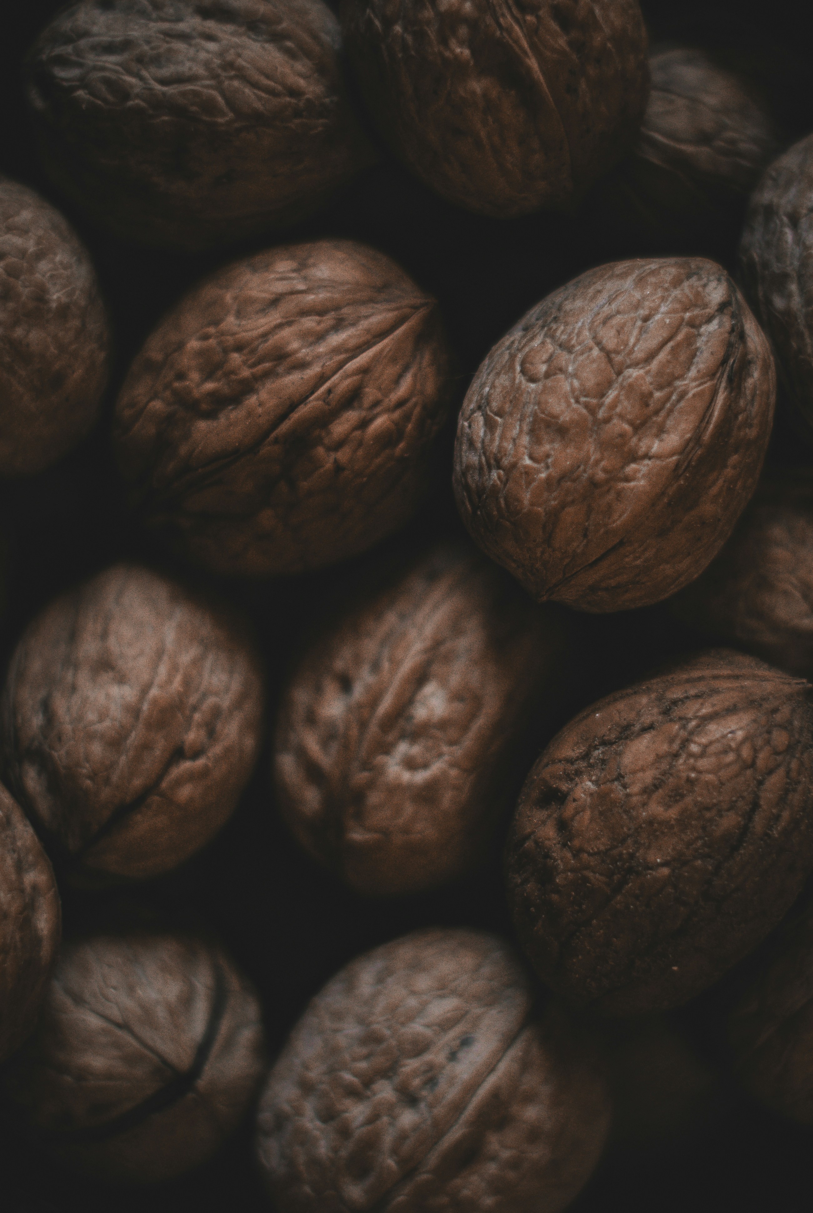 Photo by faustomarques