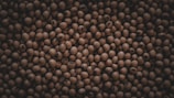 A multitude of brown soybeans closely packed together, creating a textured pattern with subtle variations in color and shading.