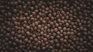 Close-up of high-quality soybean meal in a burlap sack