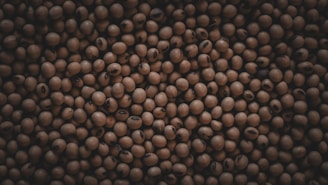 A multitude of brown soybeans closely packed together, creating a textured pattern with subtle variations in color and shading.