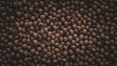 Close-up of high-quality soybean meal in a burlap sack