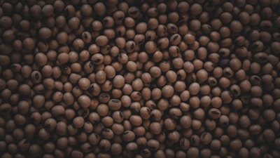 A multitude of brown soybeans closely packed together, creating a textured pattern with subtle variations in color and shading.