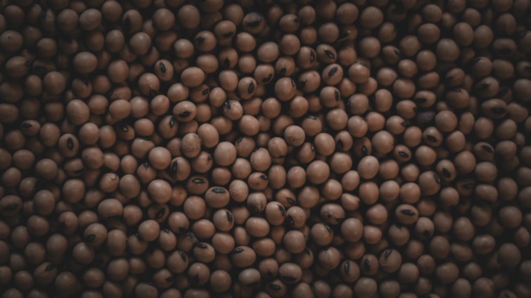 A multitude of brown soybeans closely packed together, creating a textured pattern with subtle variations in color and shading.