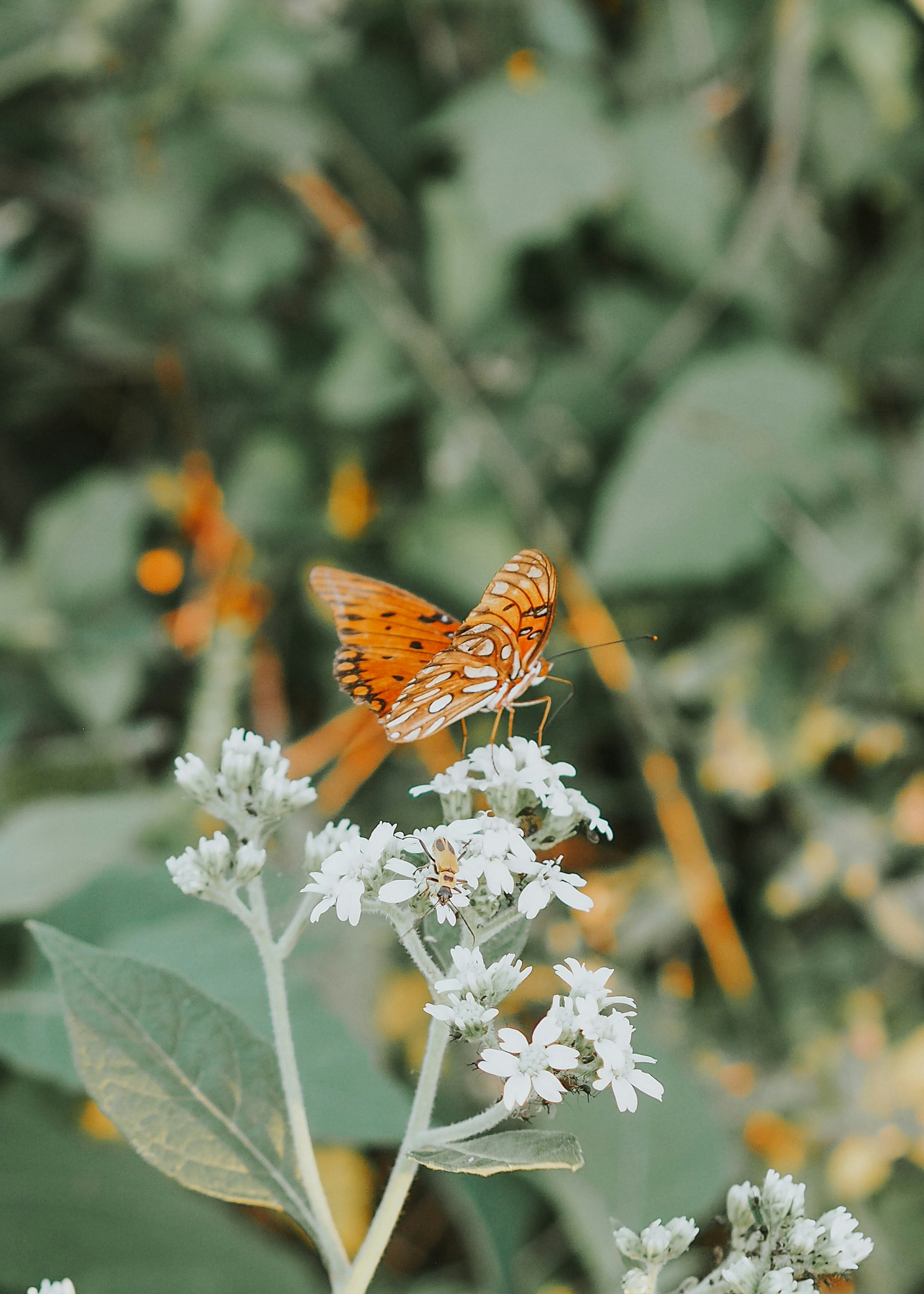 Photo by fieldworkframes