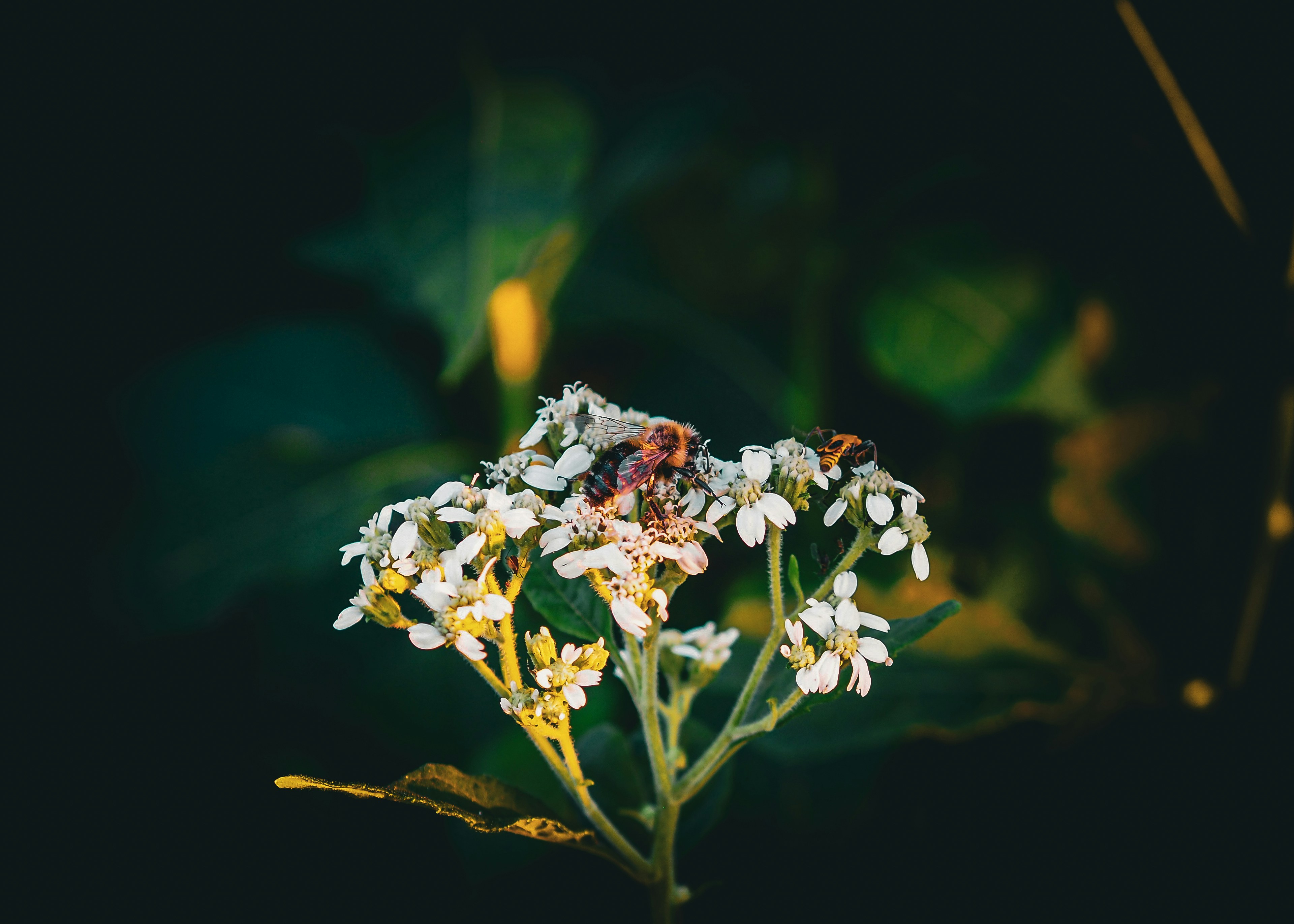 Photo by fieldworkframes