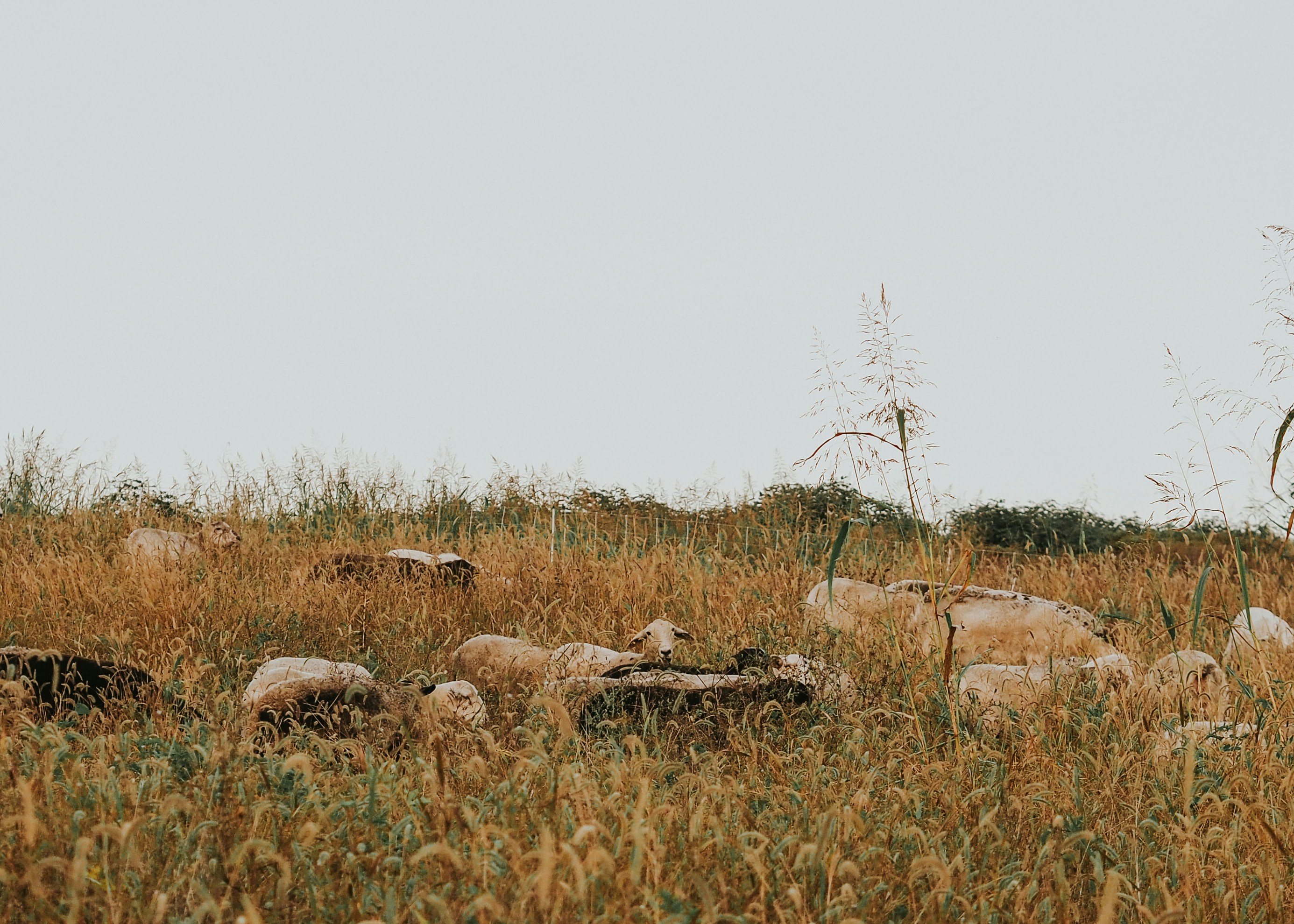 Photo by fieldworkframes