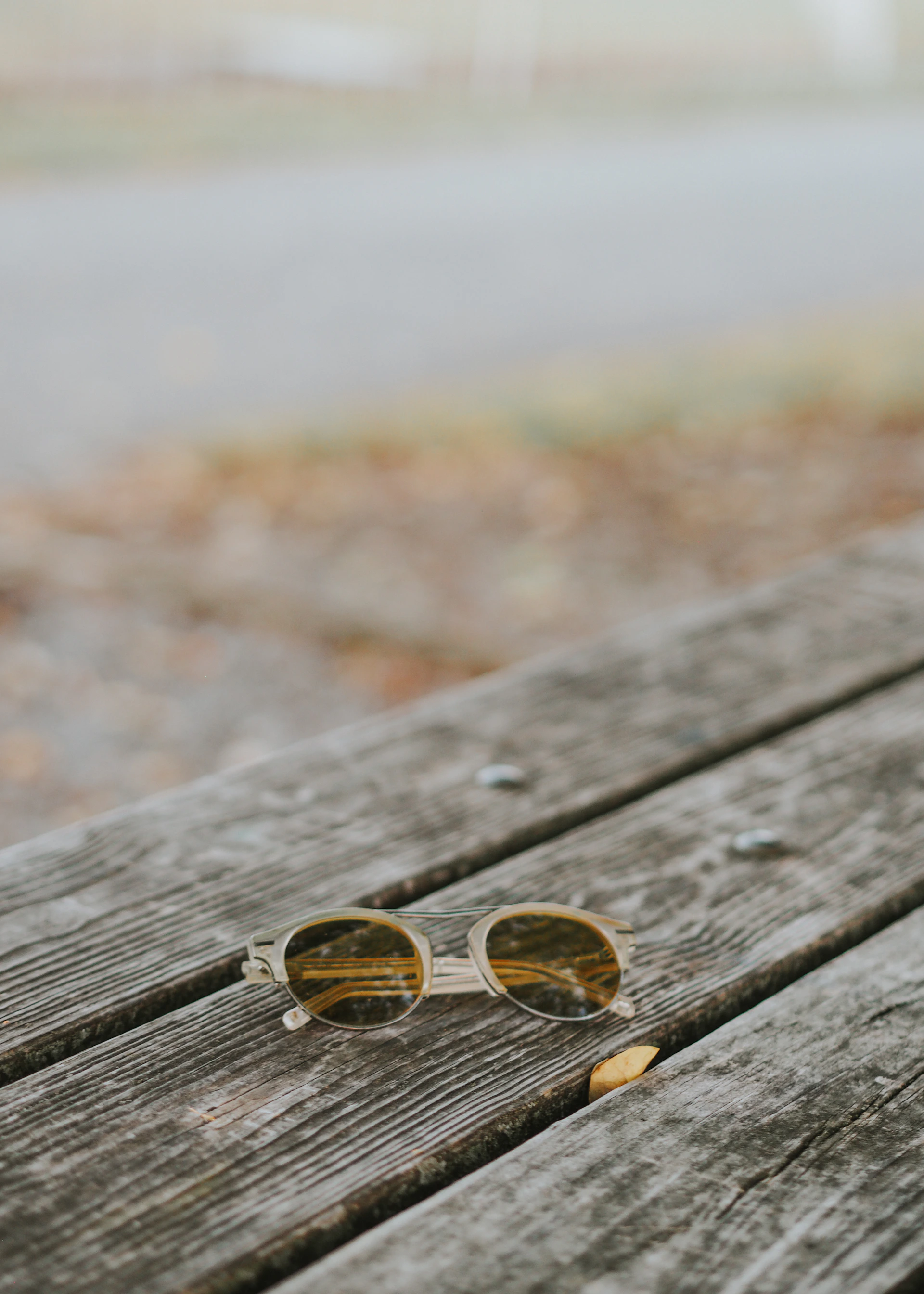 woman holding dried flower