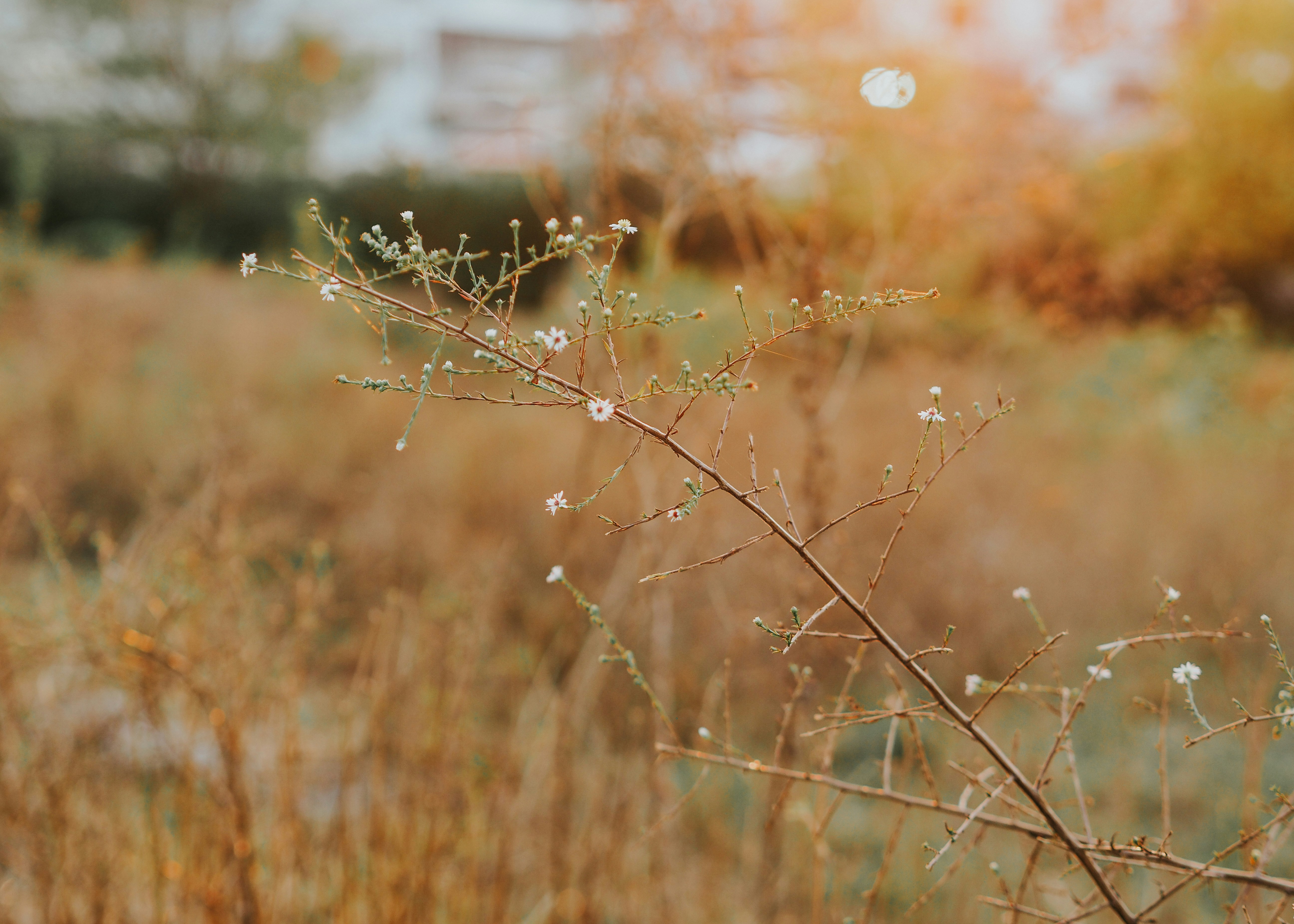 Photo by fieldworkframes