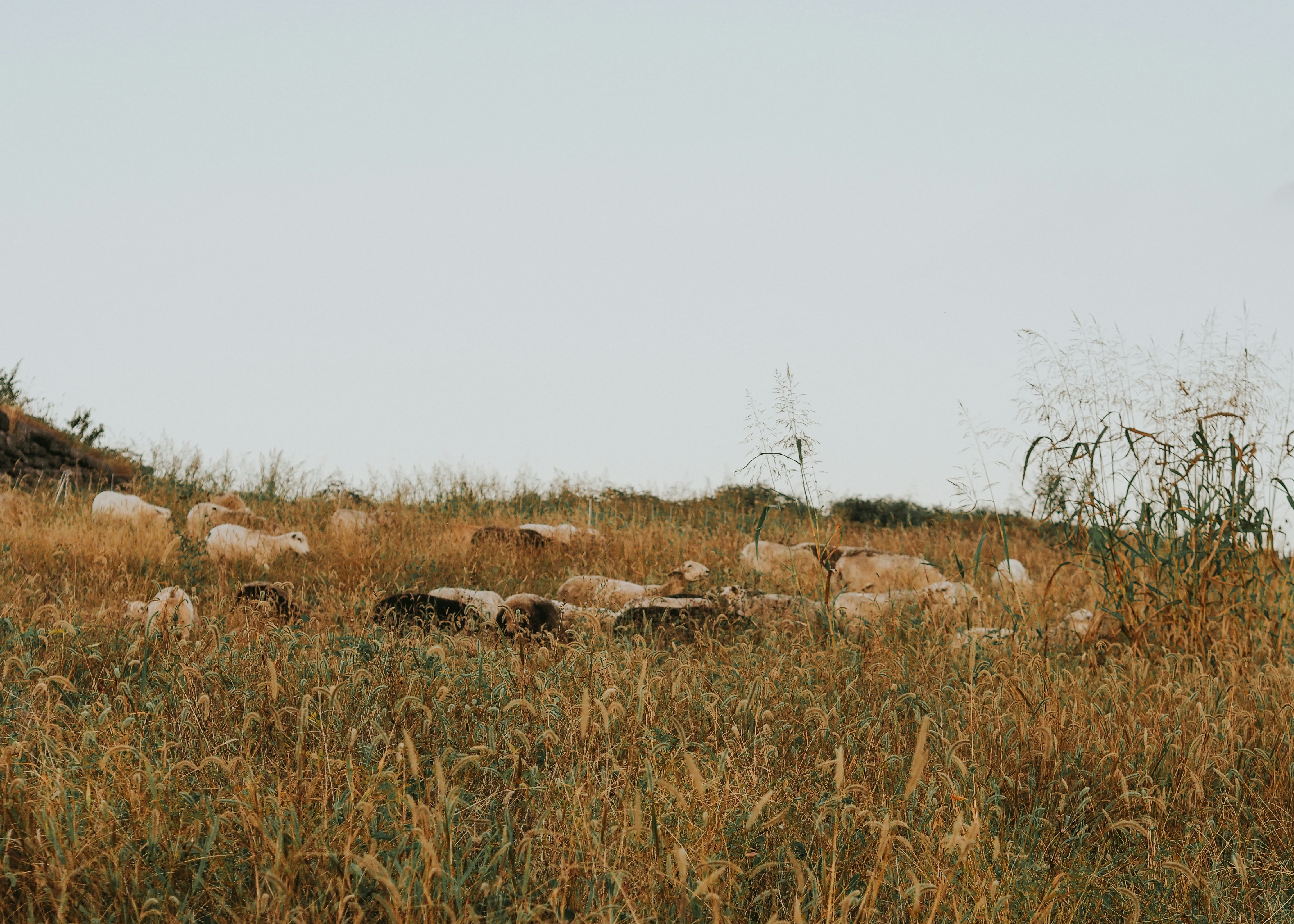 Photo by fieldworkframes