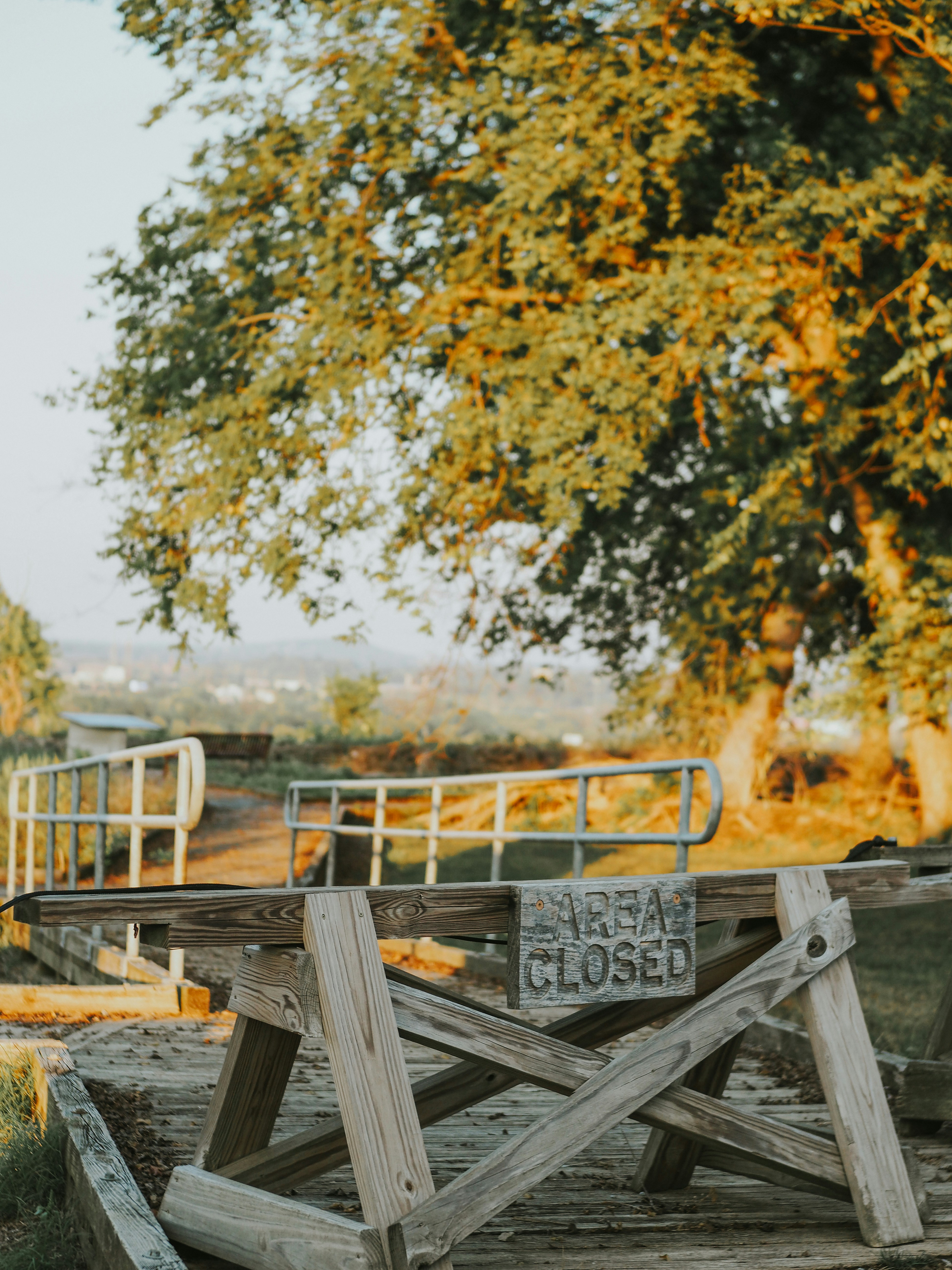 Photo by fieldworkframes