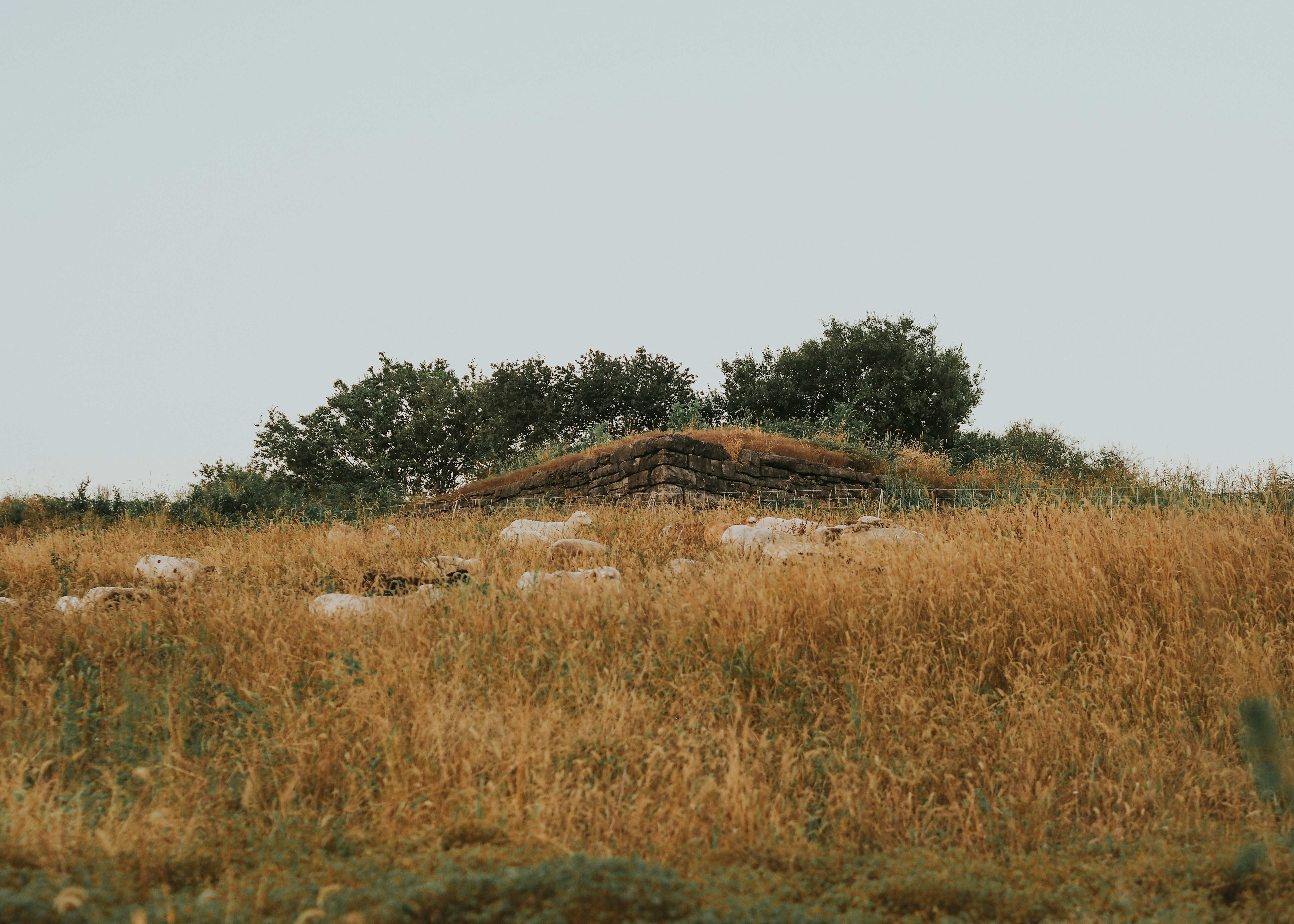 Photo by fieldworkframes