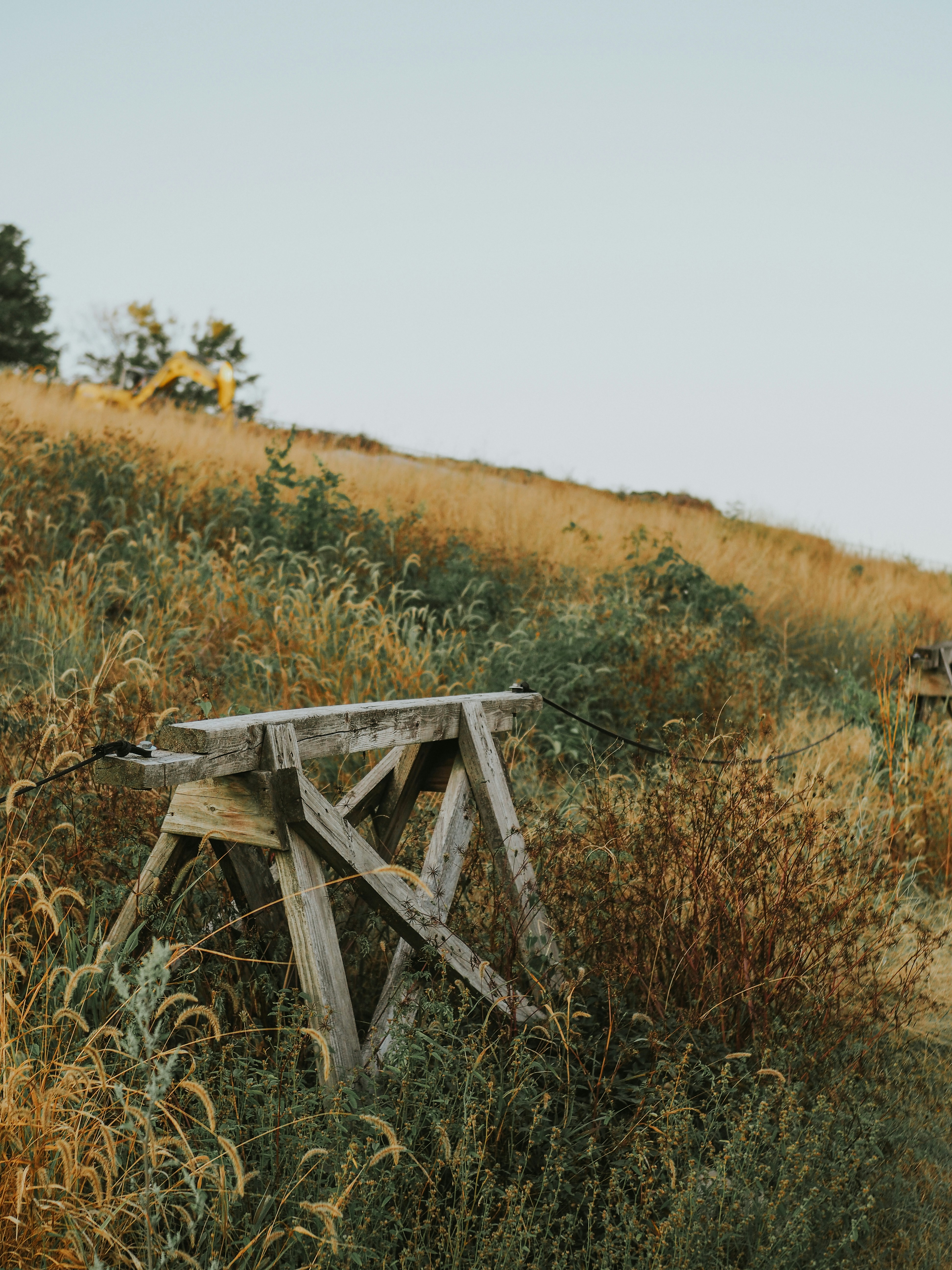 Photo by fieldworkframes