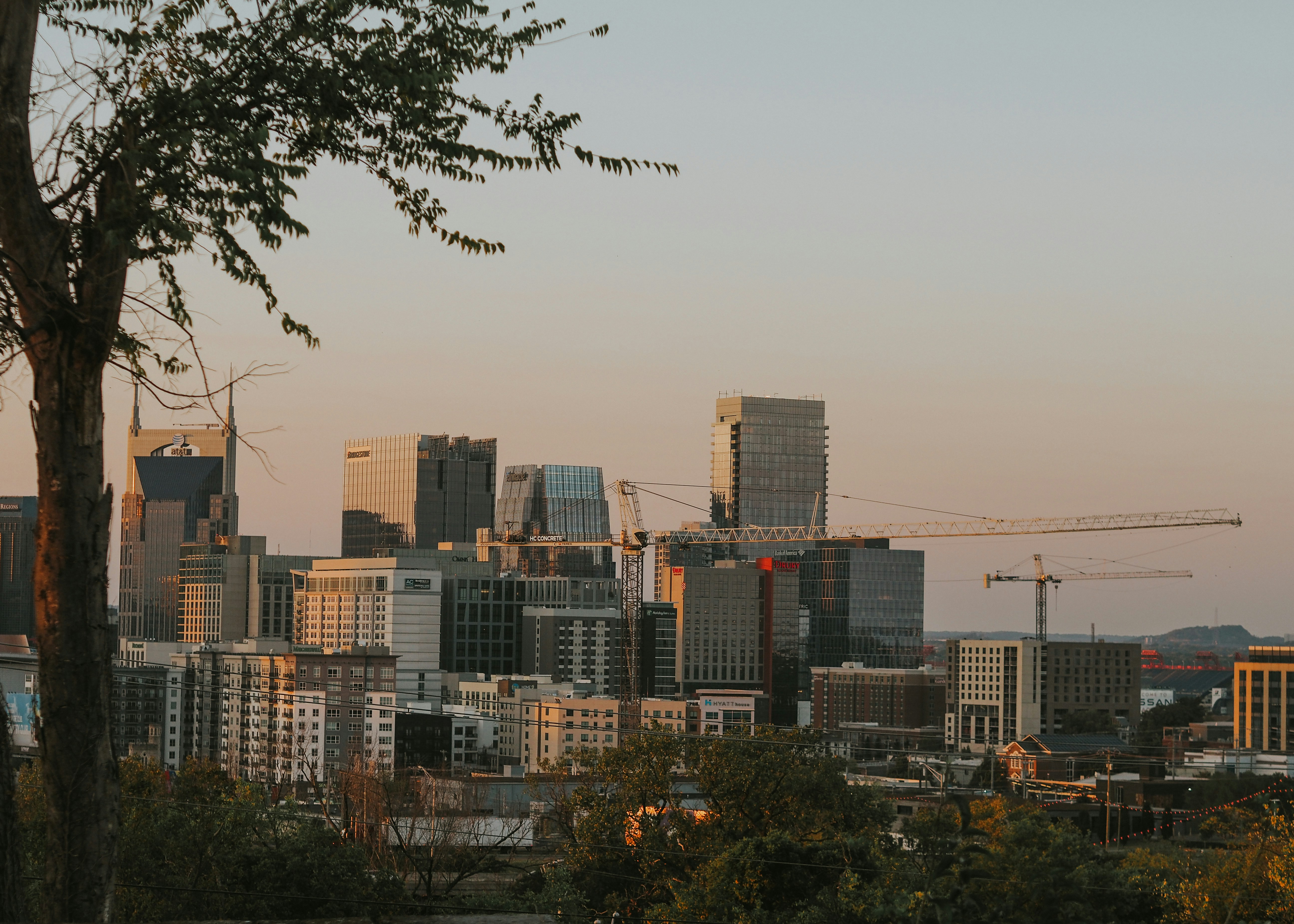 Photo by fieldworkframes