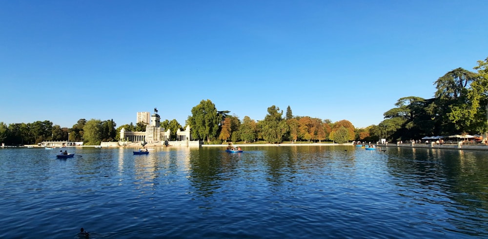 a body of water surrounded by trees and buildings
