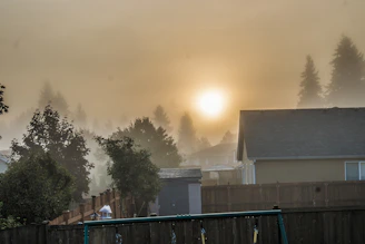 the sun is setting over a foggy neighborhood