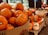 A variety of pumpkins are displayed in bulk containers and on tables. The pumpkins are in different sizes and colors, predominantly orange, with some white and multi-colored ones. The setting appears to be a marketplace or a grocery store, as suggested by the arrangement and the presence of baskets and a price sign.