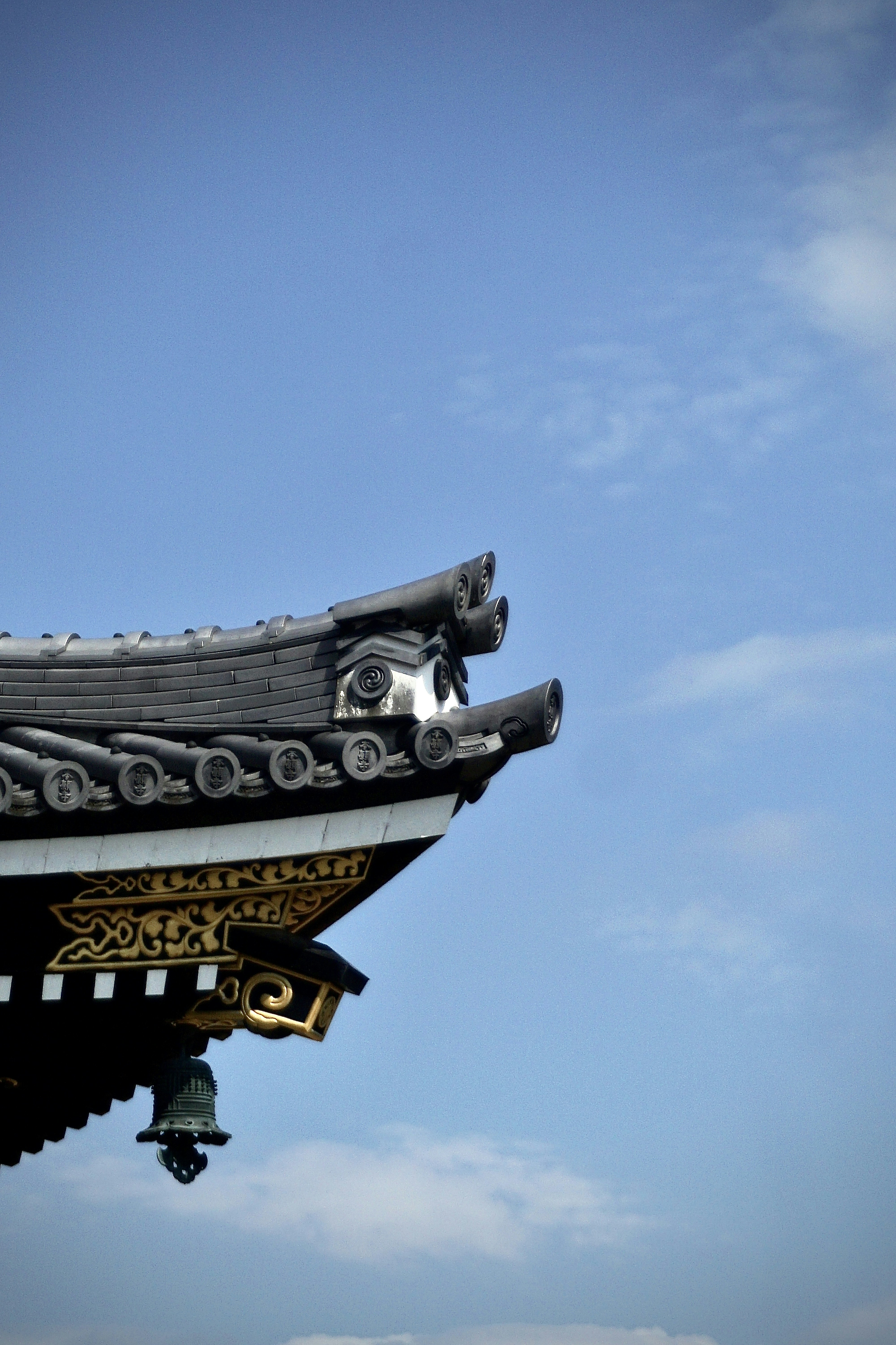 Photo by horseratbros