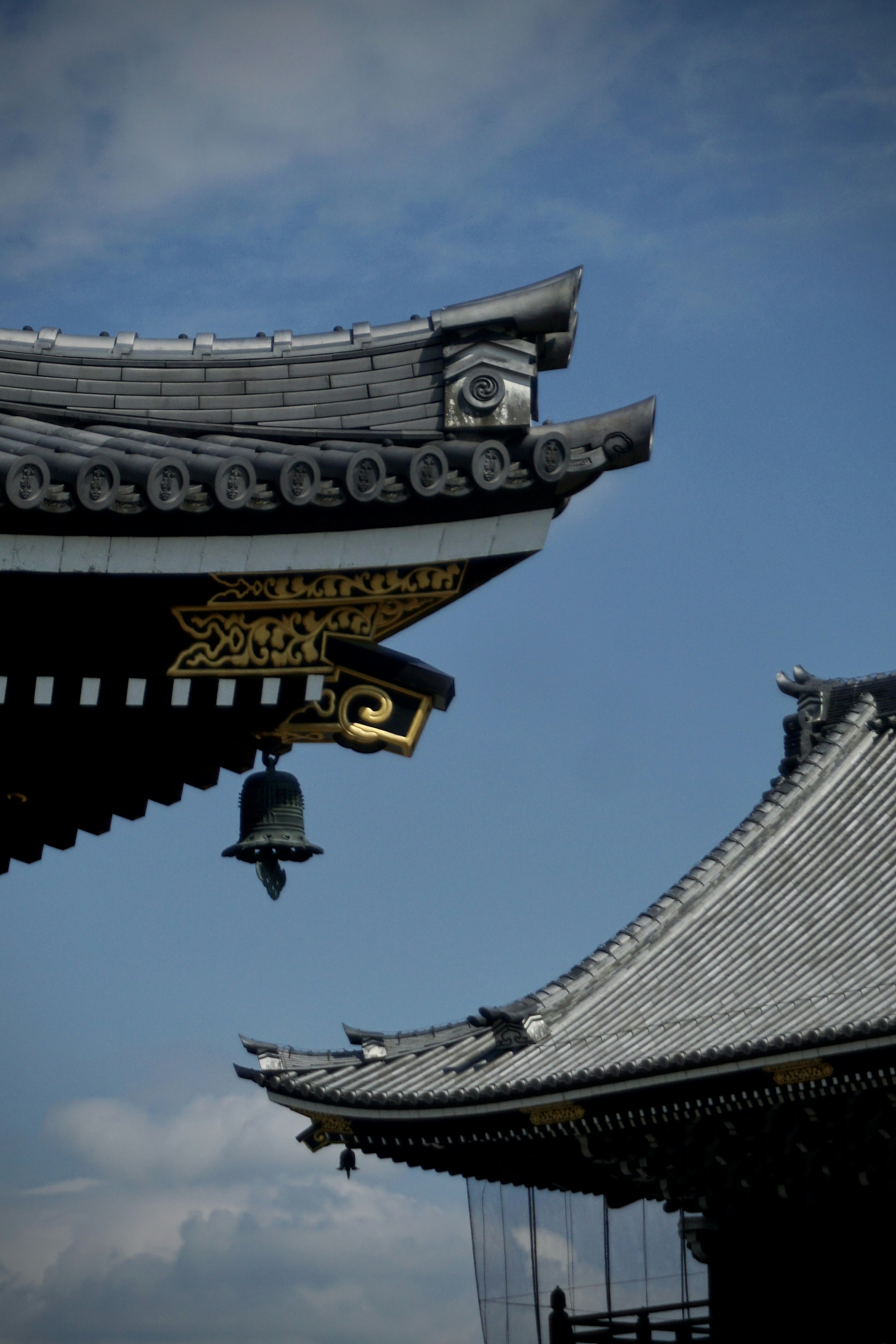 Photo by horseratbros