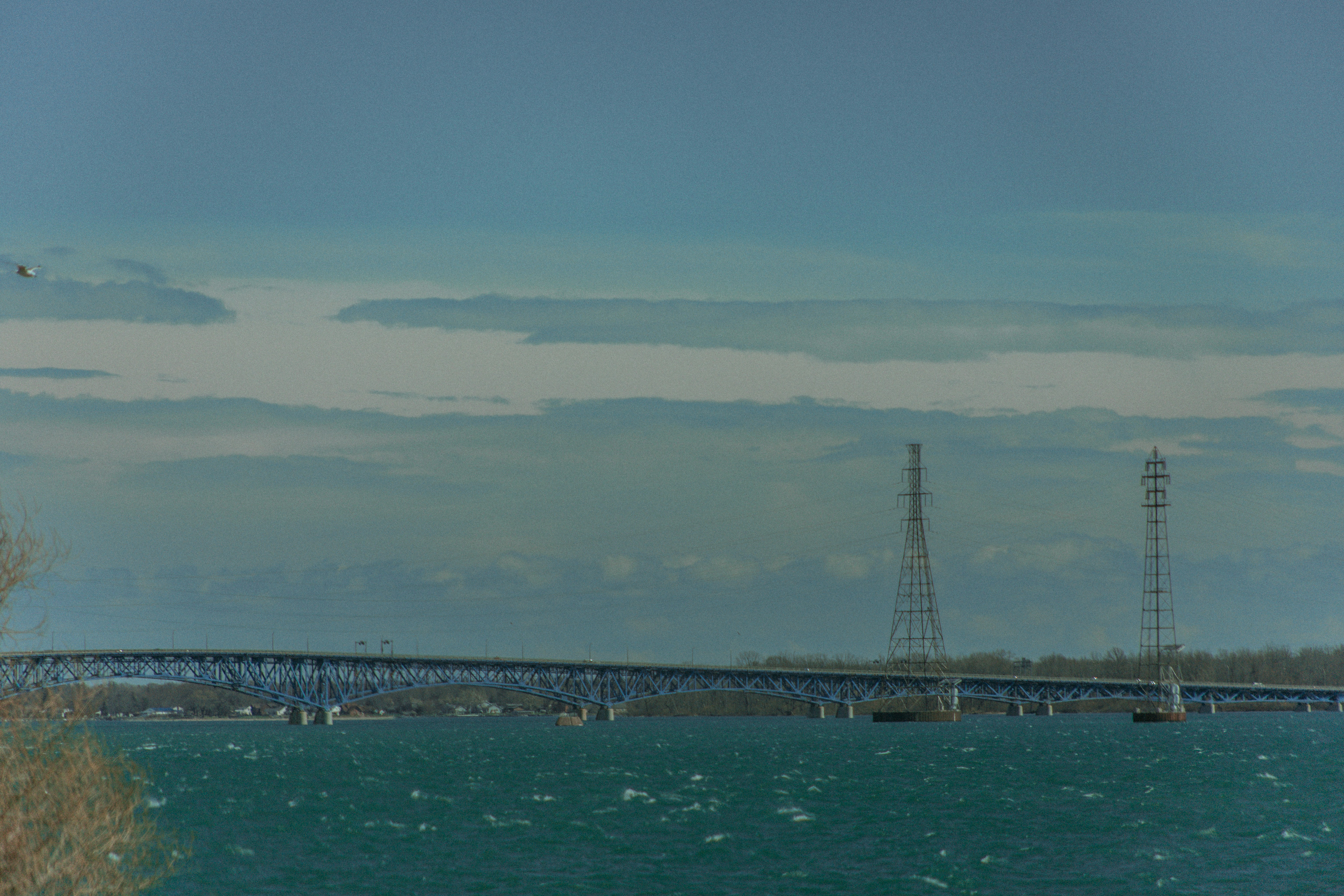 Photo by rachellachmansingh