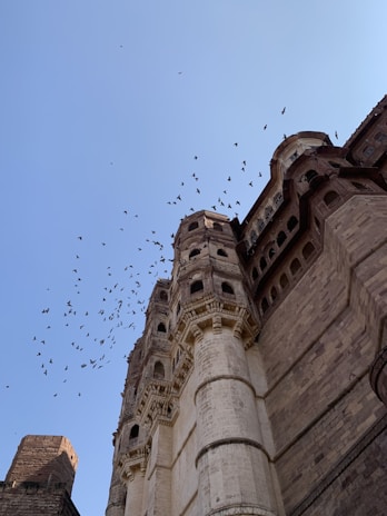 A majestic stone fortress with intricate architecture reaches up into a clear blue sky. A flock of birds is seen flying overhead, adding a sense of movement to the otherwise still and sturdy structure. The fortress is characterized by its tall, rounded towers and detailed carvings.