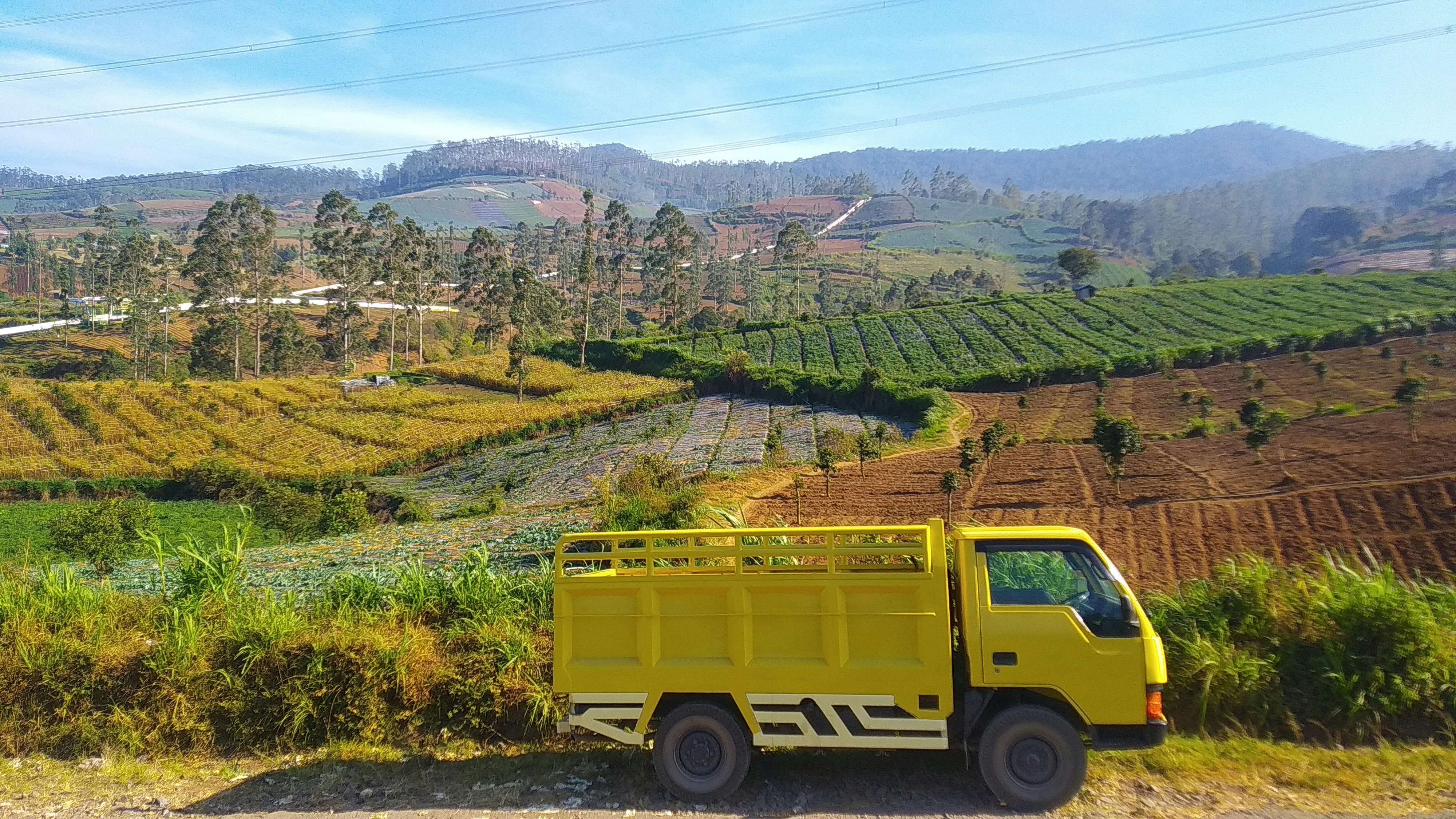 Truck Driver Jobs: Opportunities, Requirements, and Benefits